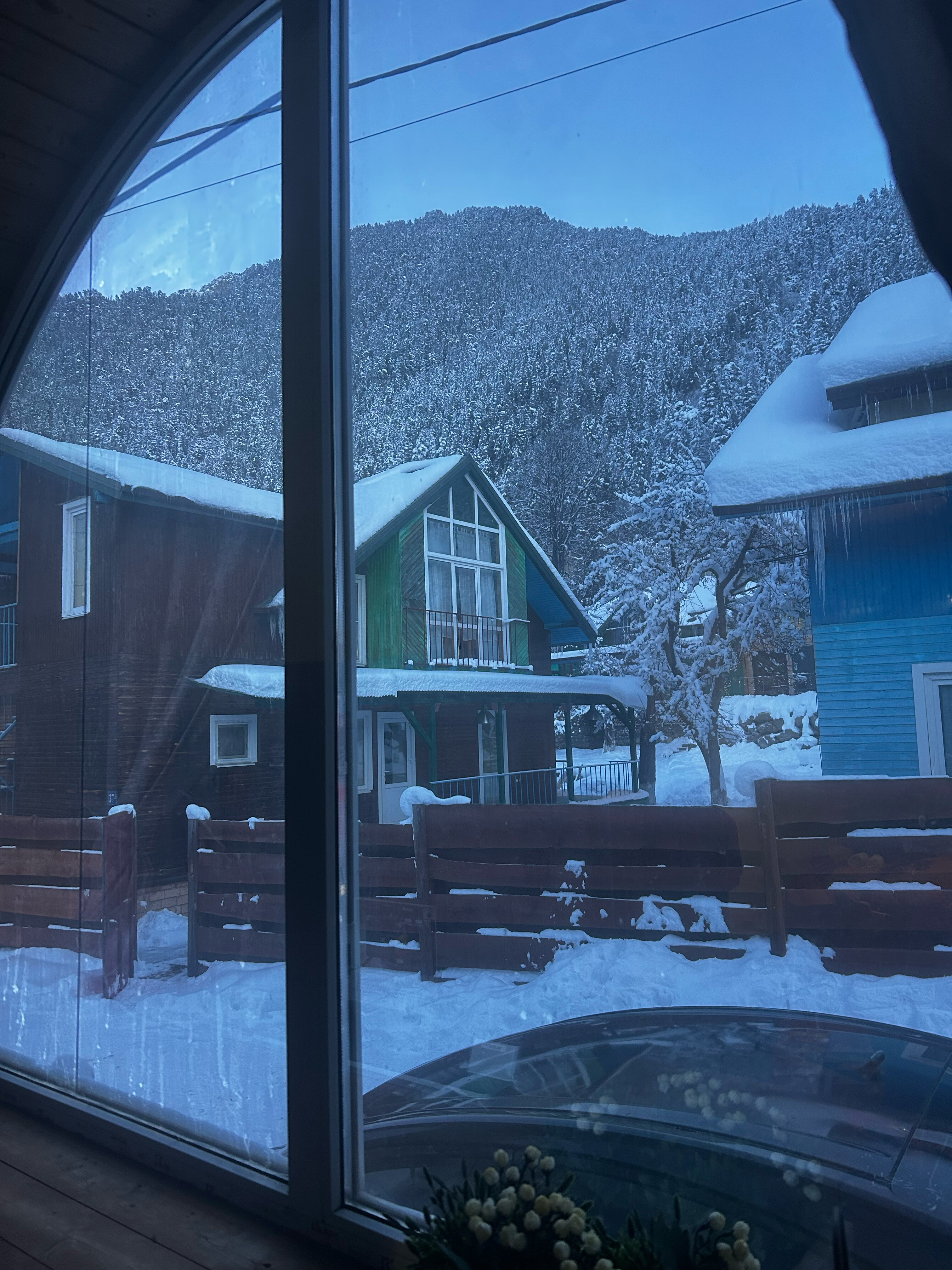 Фото Райские яблоки