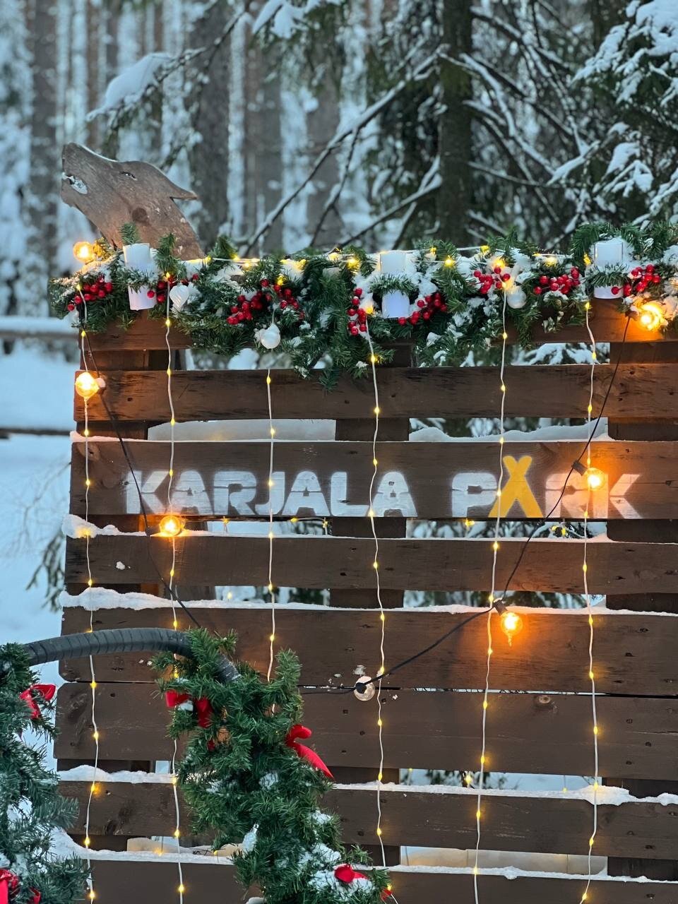 Фото Карьяла Парк