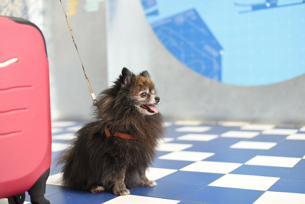 Фото Loop Inn Hostel Cartagena