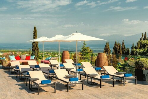 Гостиница Tsinandali Estate, A Radisson Collection Hotel в Кахетии