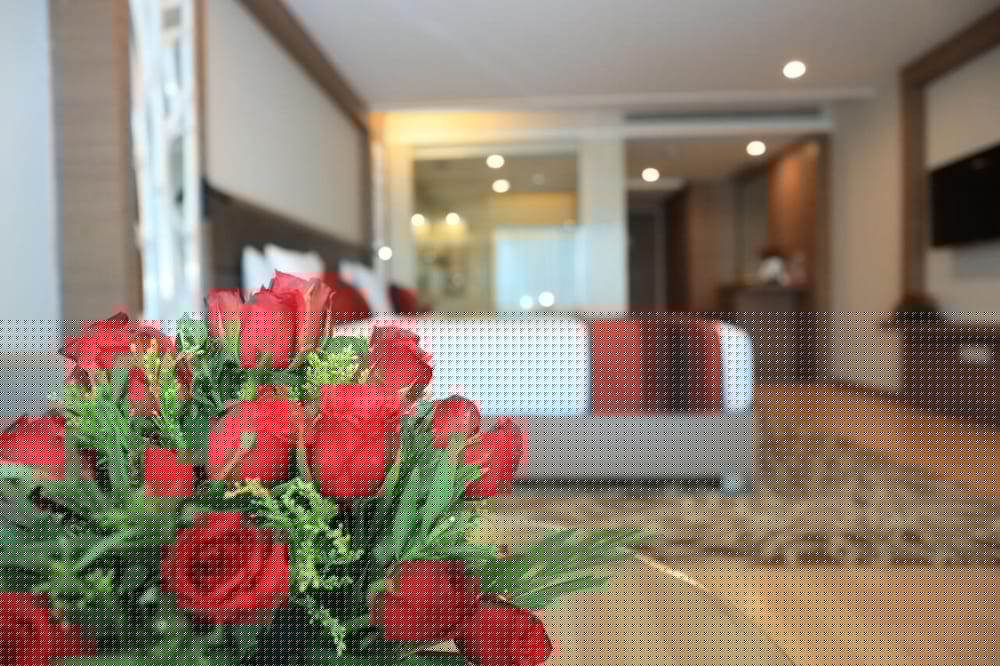 Фото Radisson Udaipur