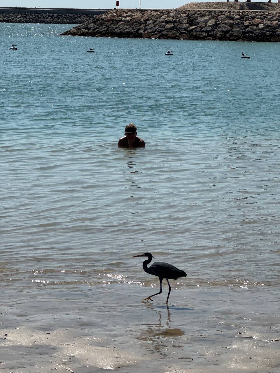 Фото Fanar Hotel & Residences