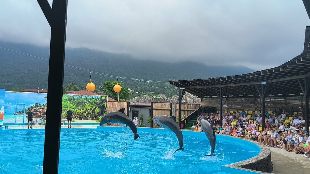 Фото У своих