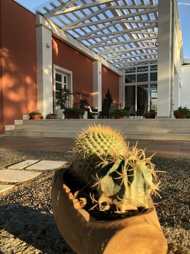 Внешний вид отеля Loggia dei Lezzi в Ночах, фото 4