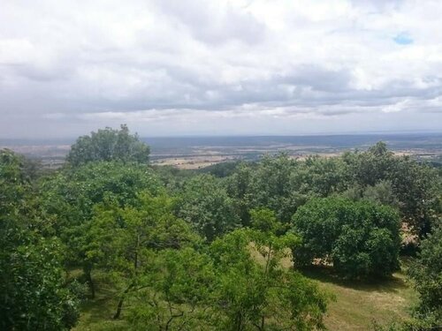 Гостевой дом Hostal los Castanuelos в Канделеде