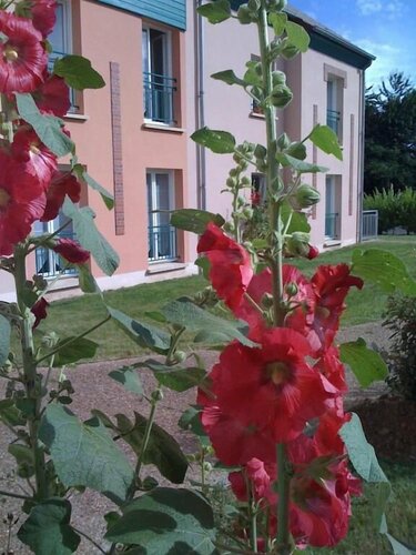 Гостиница Brit Hotel Du Perche в Ножан-ле-Ротру