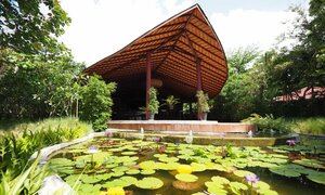 Гостиница Samui Garden Home