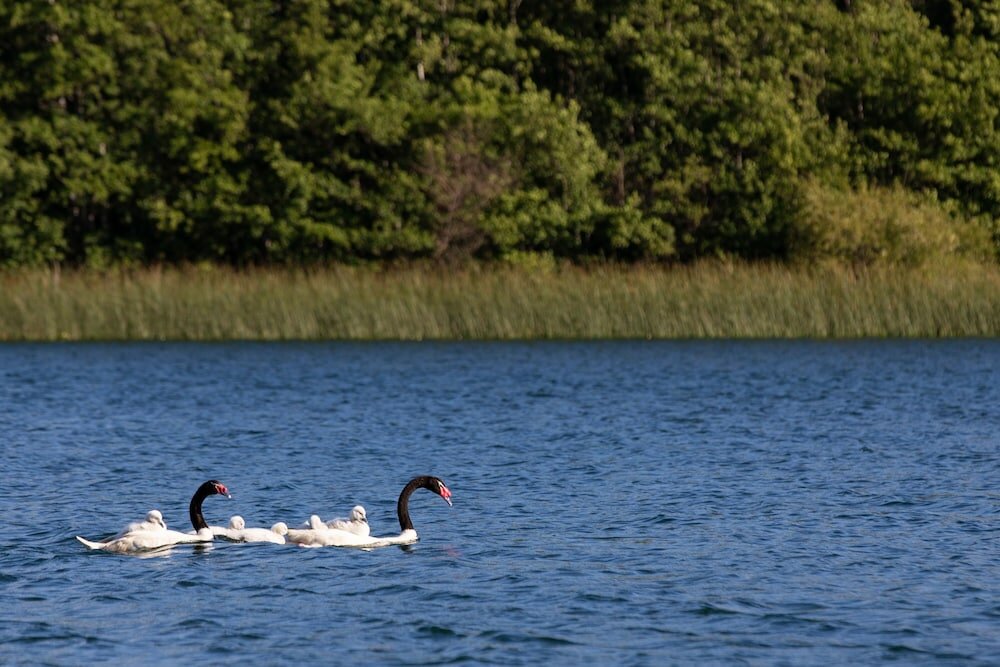 Фото Hotel Puerta del Sur