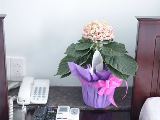 Фото Gia Hoa Hotel