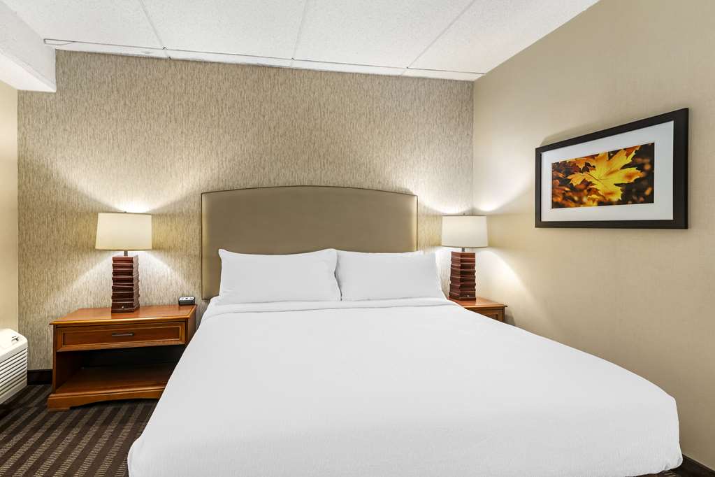 Фото Best Western Springfield Hotel