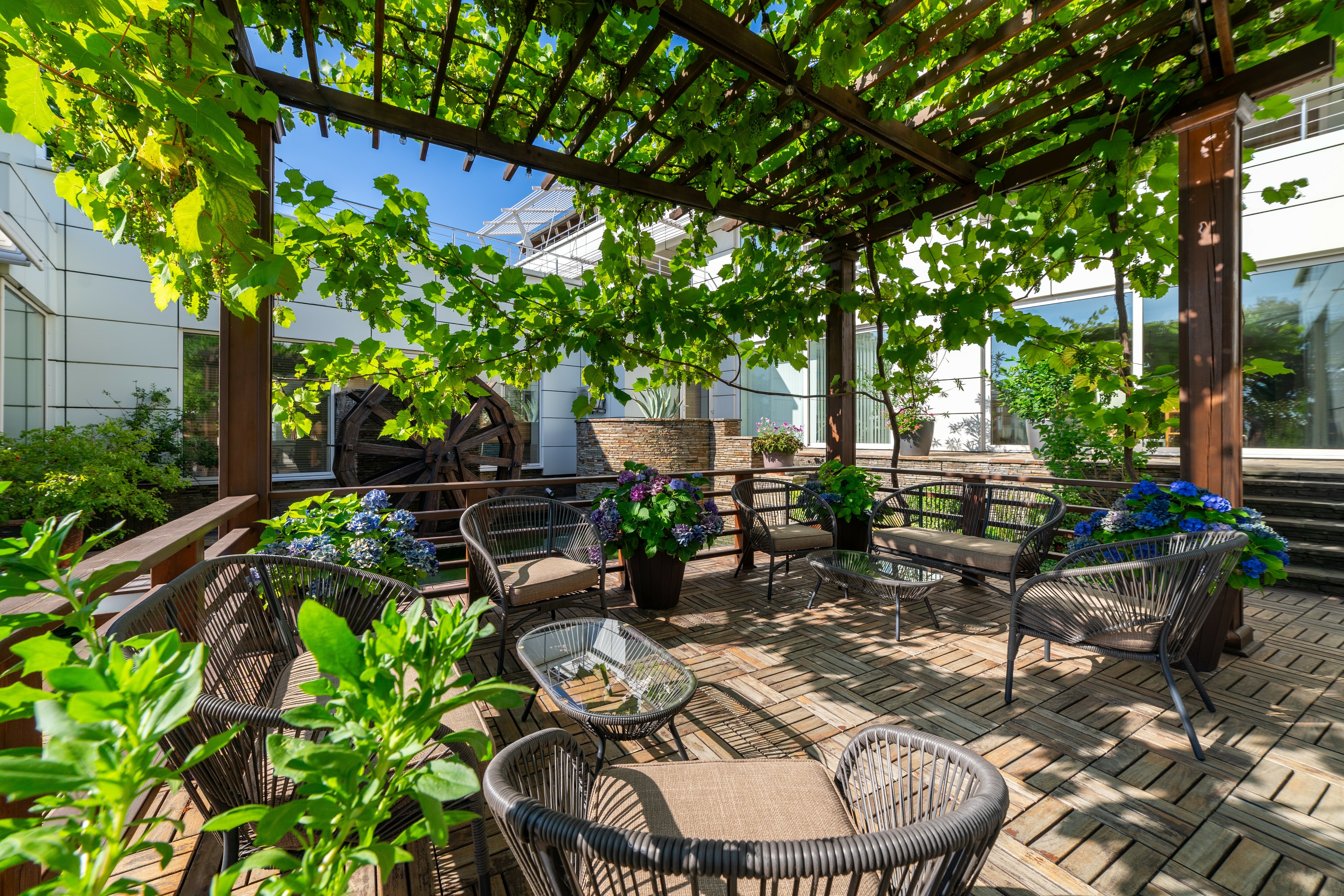 Фото отеля 5