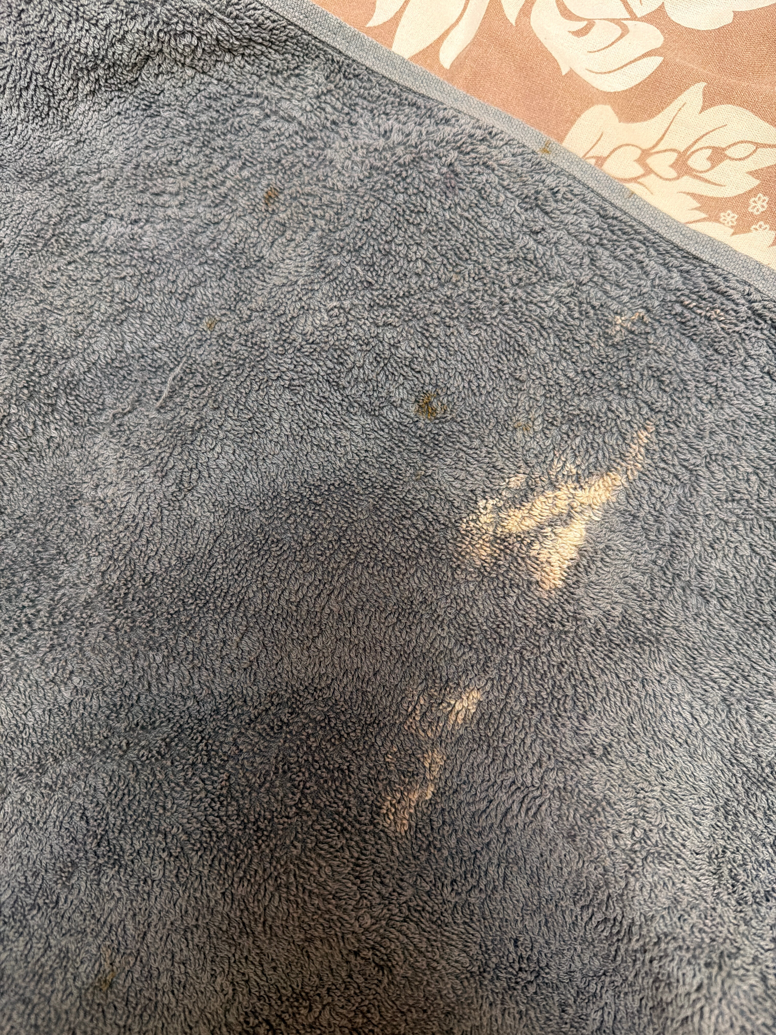 Фото Дальний кордон