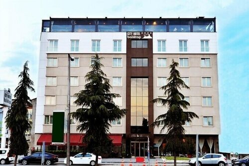 Гостиница Baliktasi City Hotel в Алтынорду