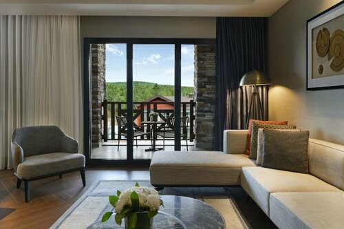 Гостиница Elite World Sapanca Convention & Wellness Resort в Арифие