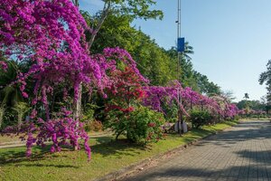 Гостиница Maritime Park & SPA Resort