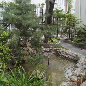 Фото Ренессанс