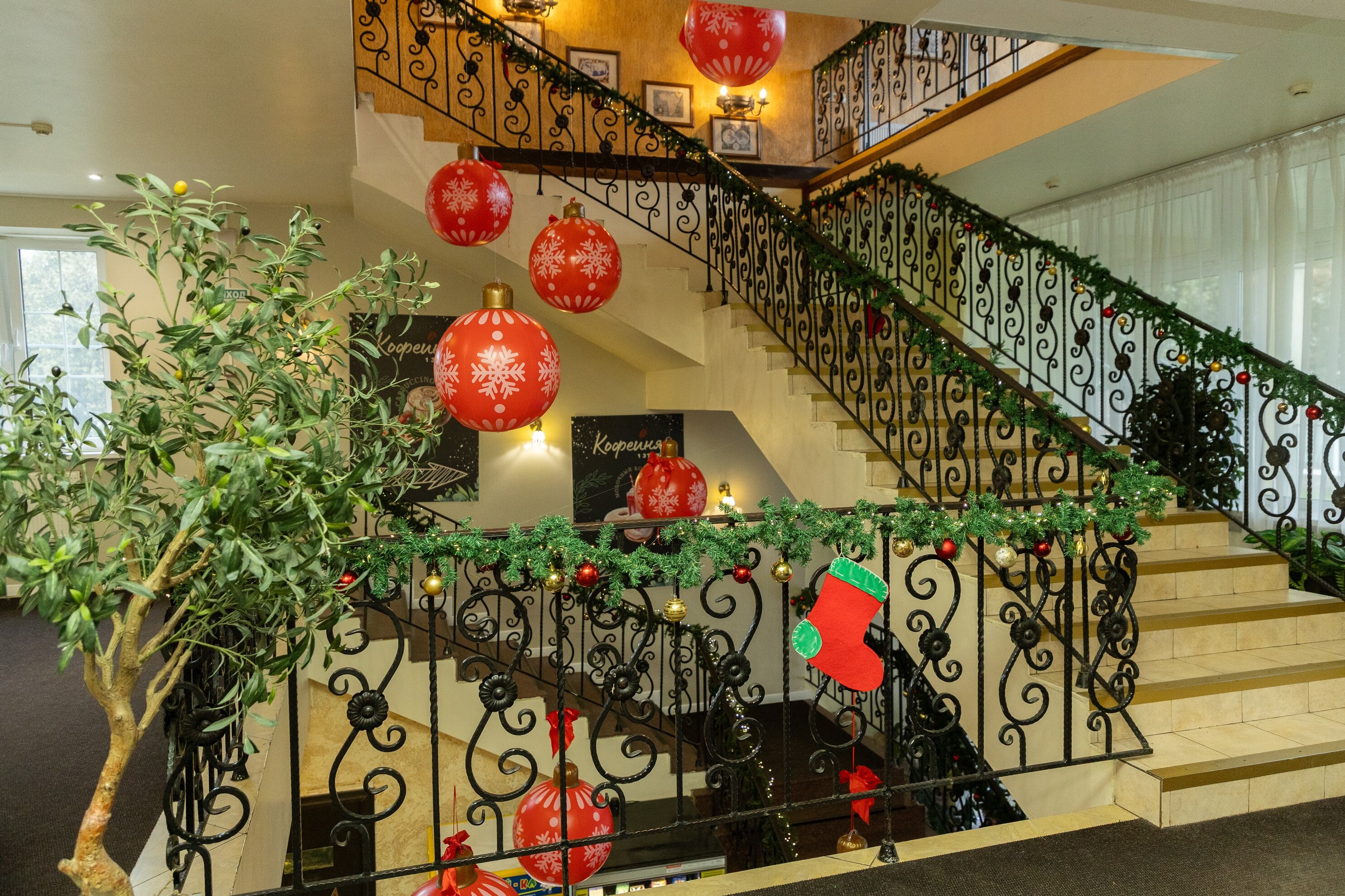 Фото Фореста Фестиваль Парк