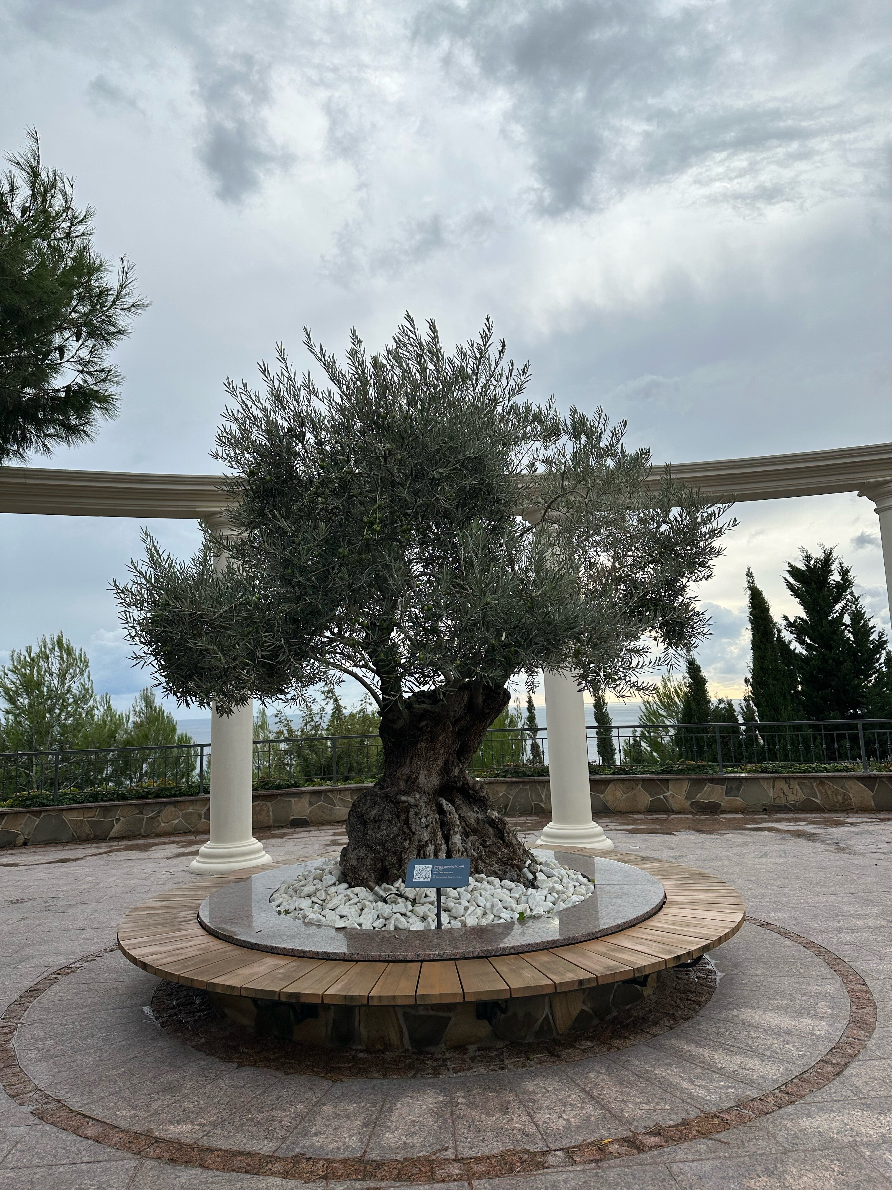 Фото Крымский Бриз