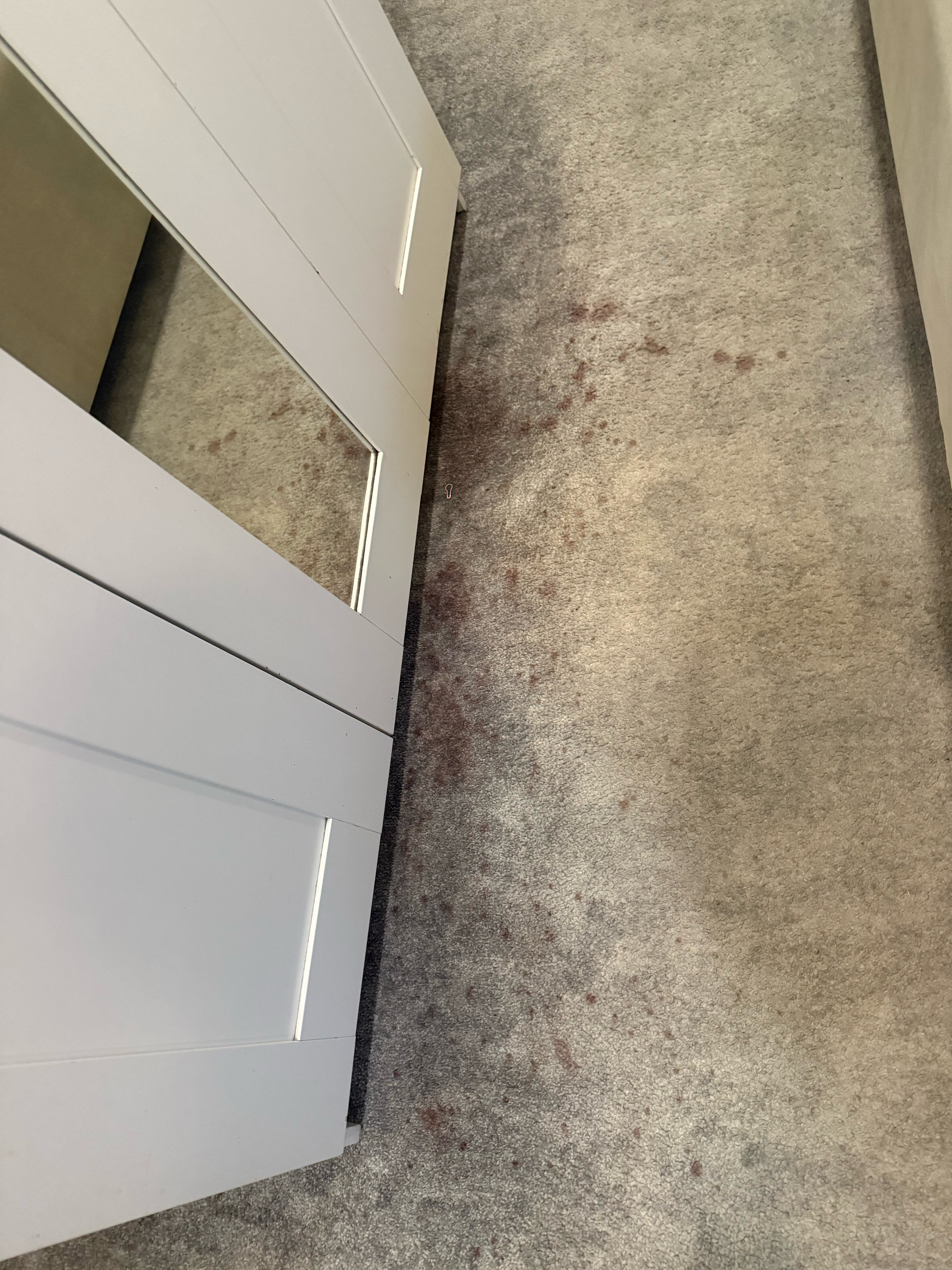 Фото Симпл Сизонс Невский