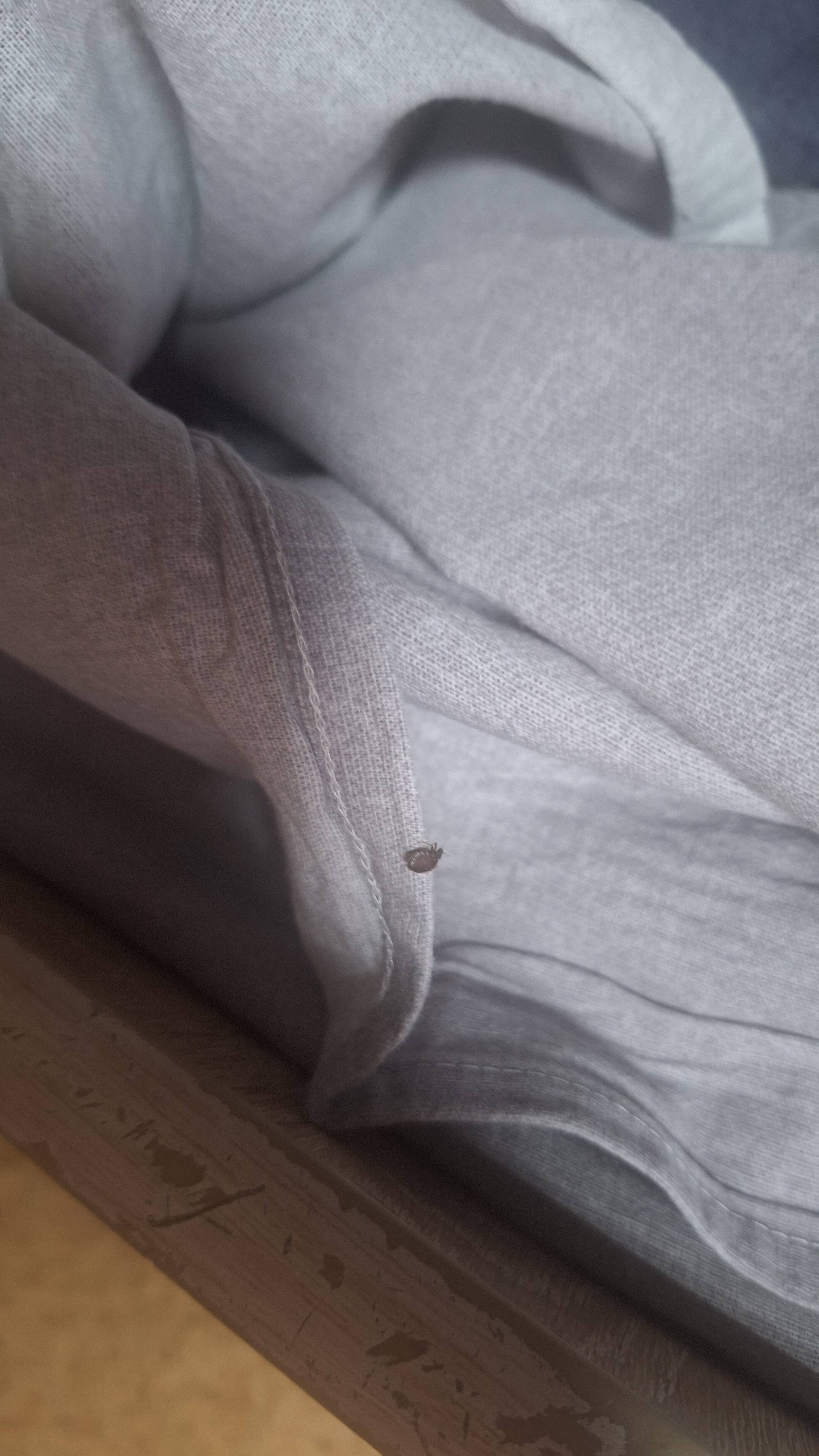 Фото Плацкарт