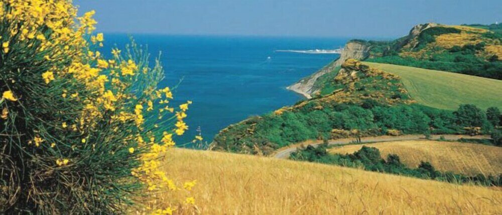 Фото Hotel Rossini