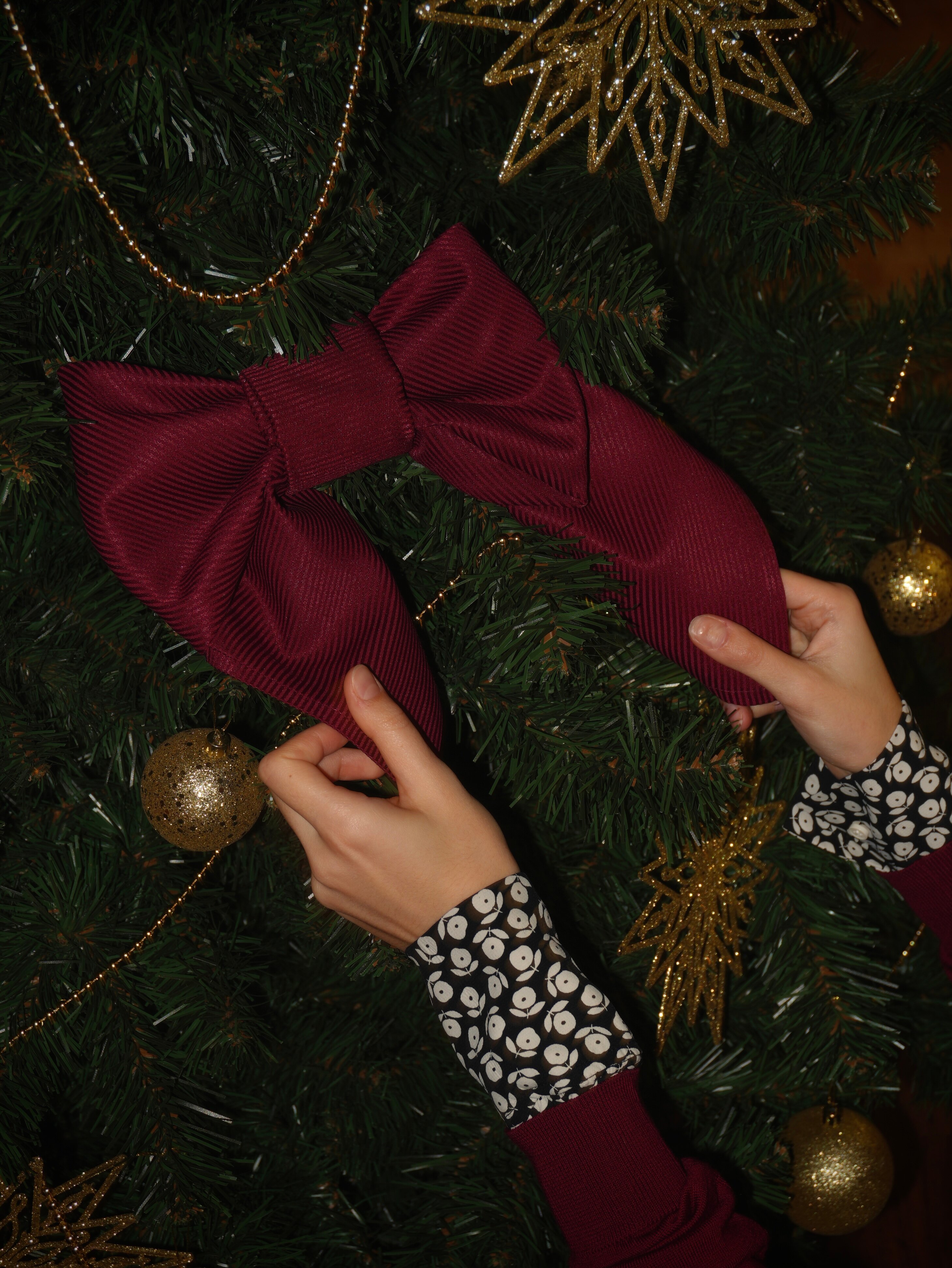 Фото Эридан