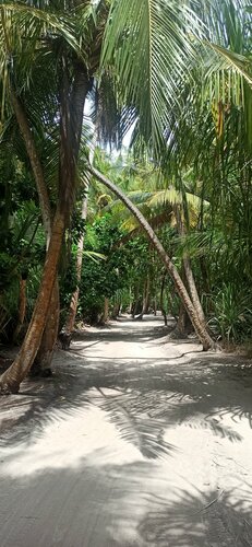 Внешний вид отеля Tme Retreats Dhigurah в Алифе Дхаале, фото 5