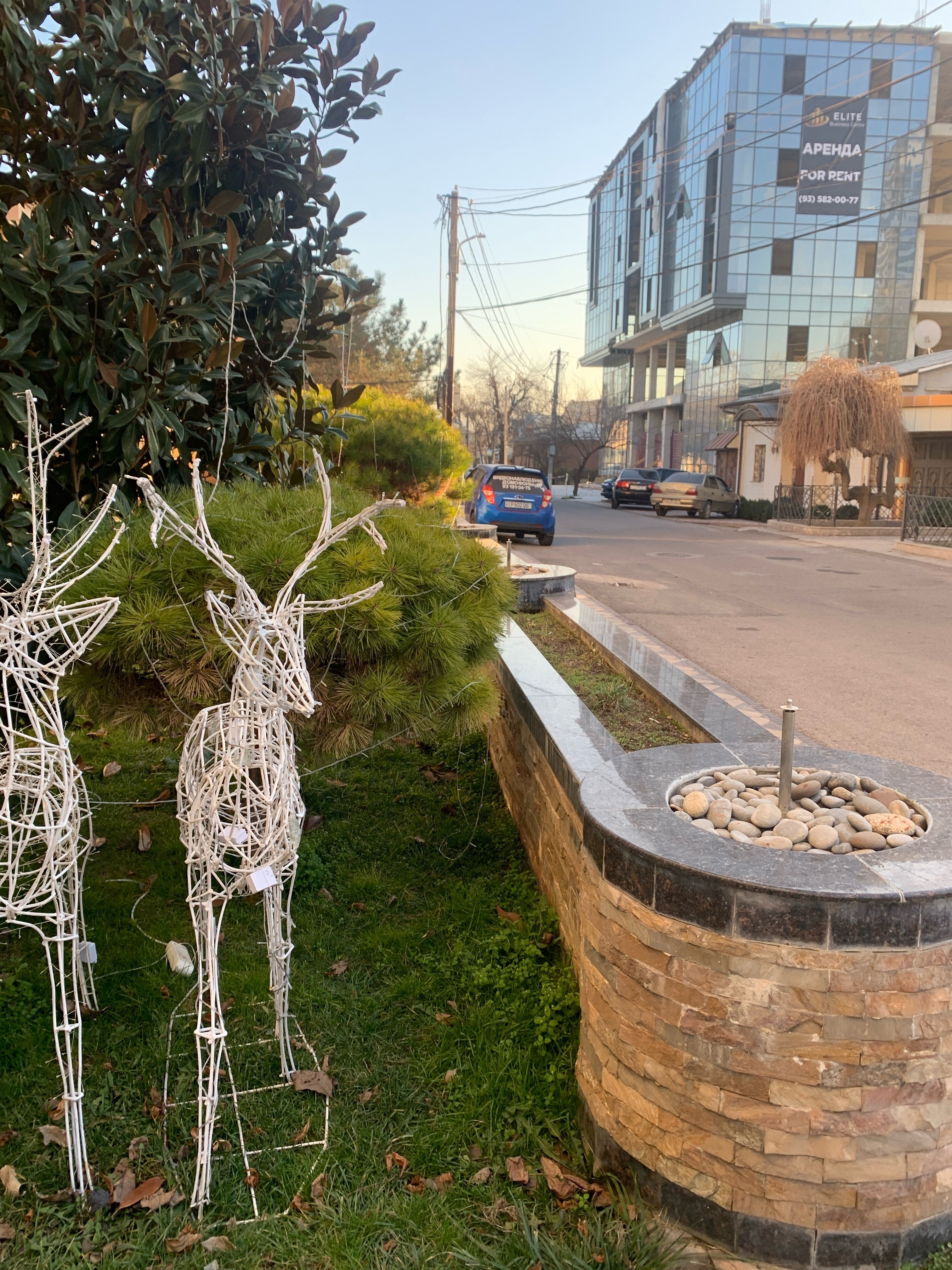 Фото Aster Hotel Group