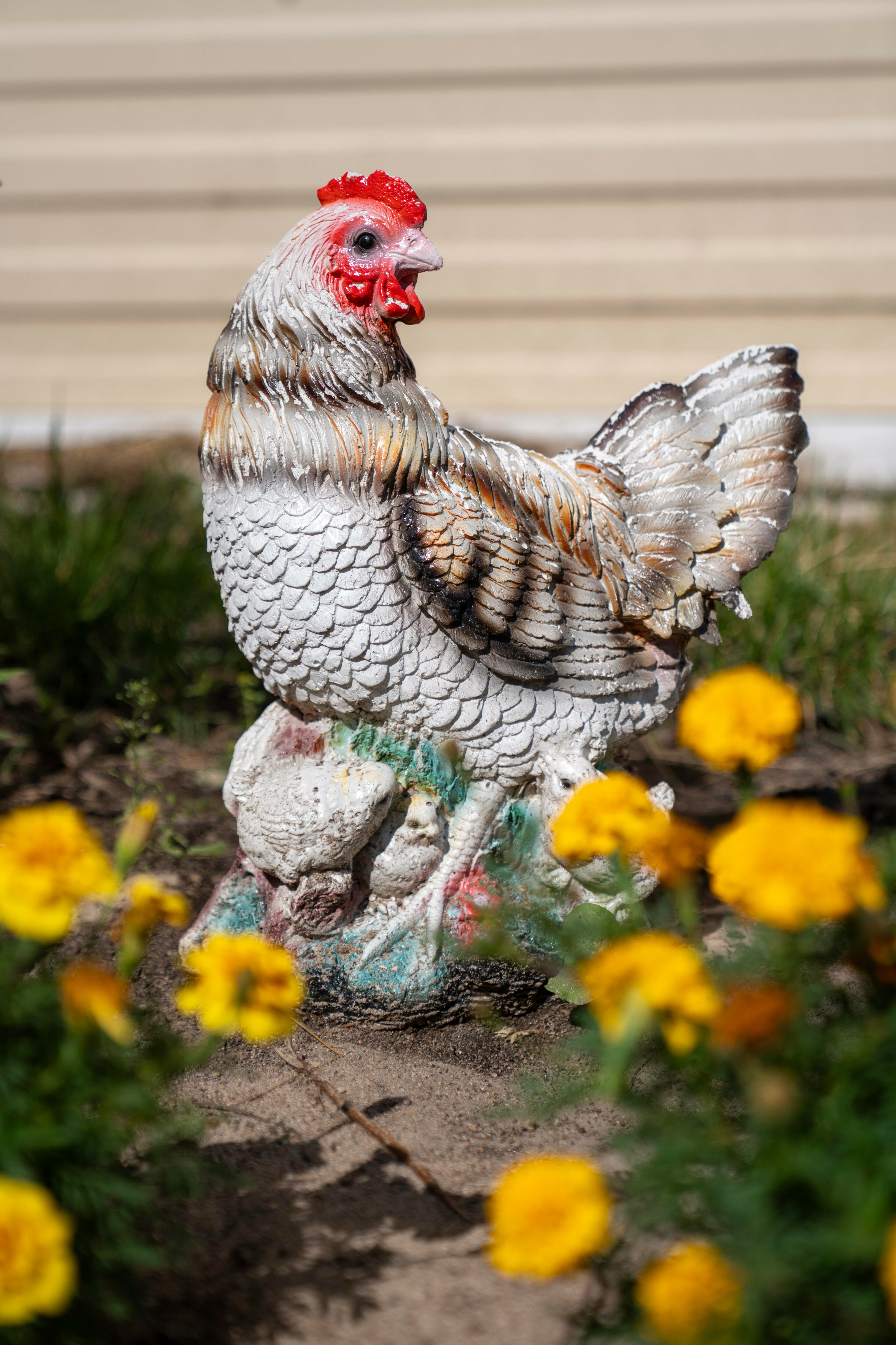 Фото Kodi järvi