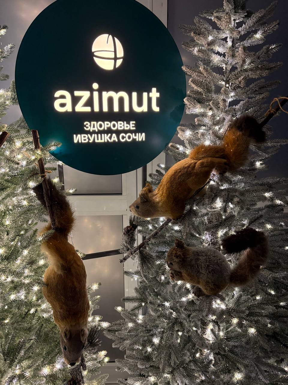 Фото Azimut Здоровье Ивушка