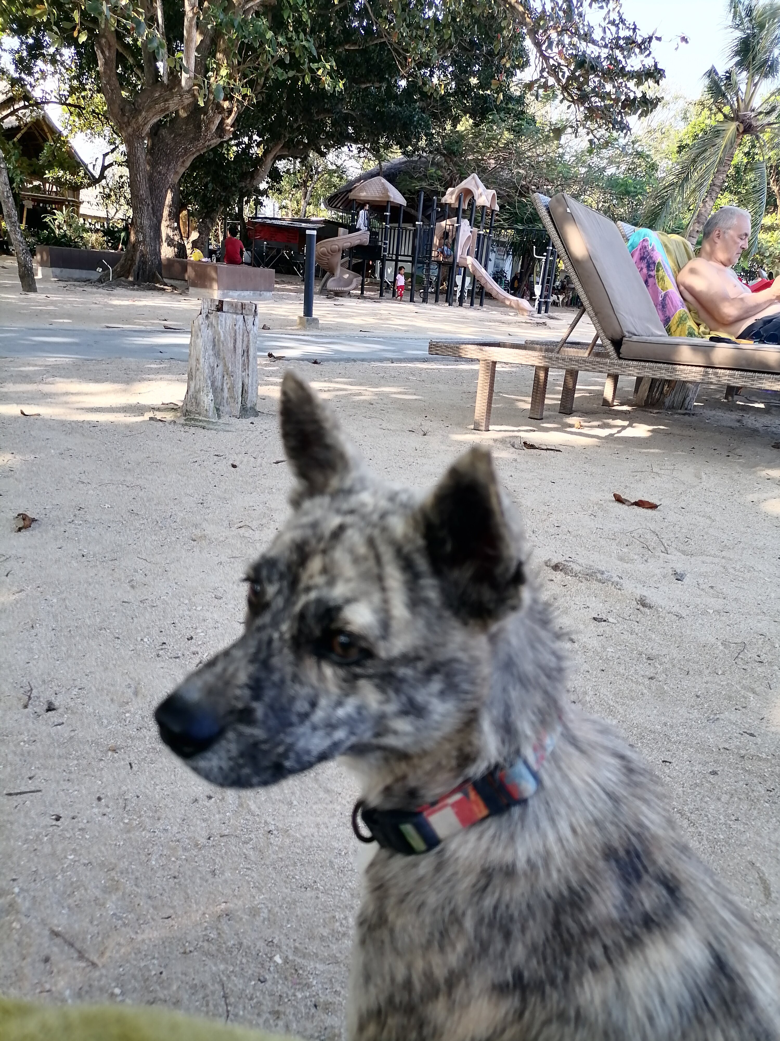 Фото Mercure Bali Resort Sanur