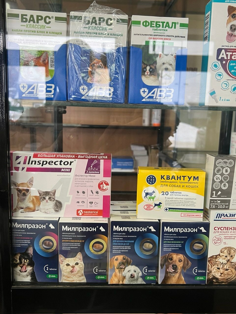Снежный Барс - фото 16