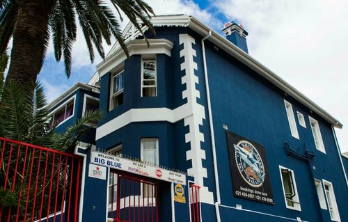 Гостиница Big Blue Backpackers в Кейптауне