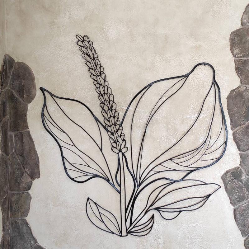 Фото Подорожник