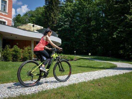 Фото Wellness & SPA hotel Villa Regenhart