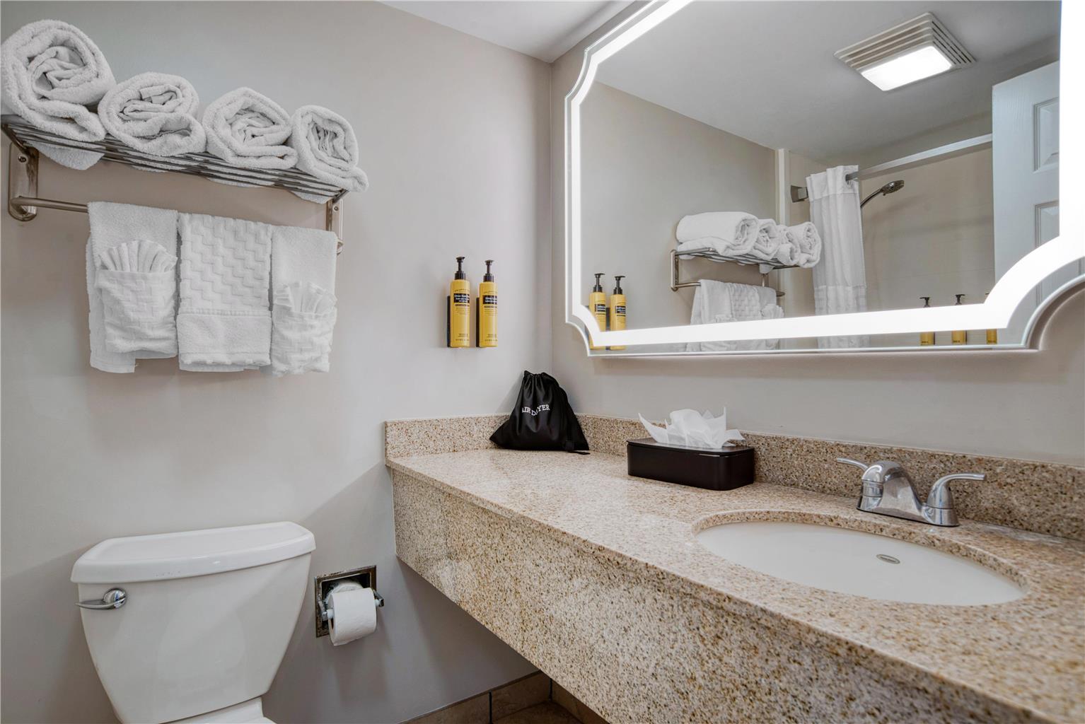 Фото Best Western Plus French Quarter Courtyard Hotel