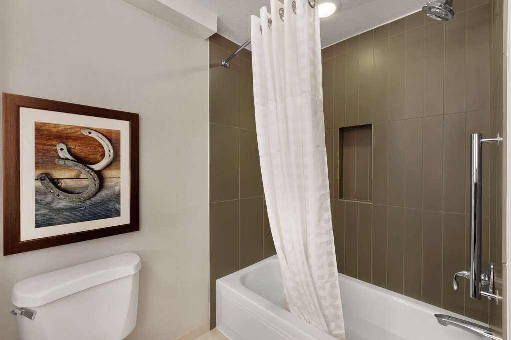 Фото Embassy Suites by Hilton Dallas Dfw Airport North