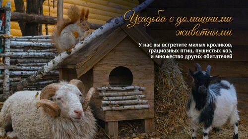 Усадьба Благодатная — фото 3