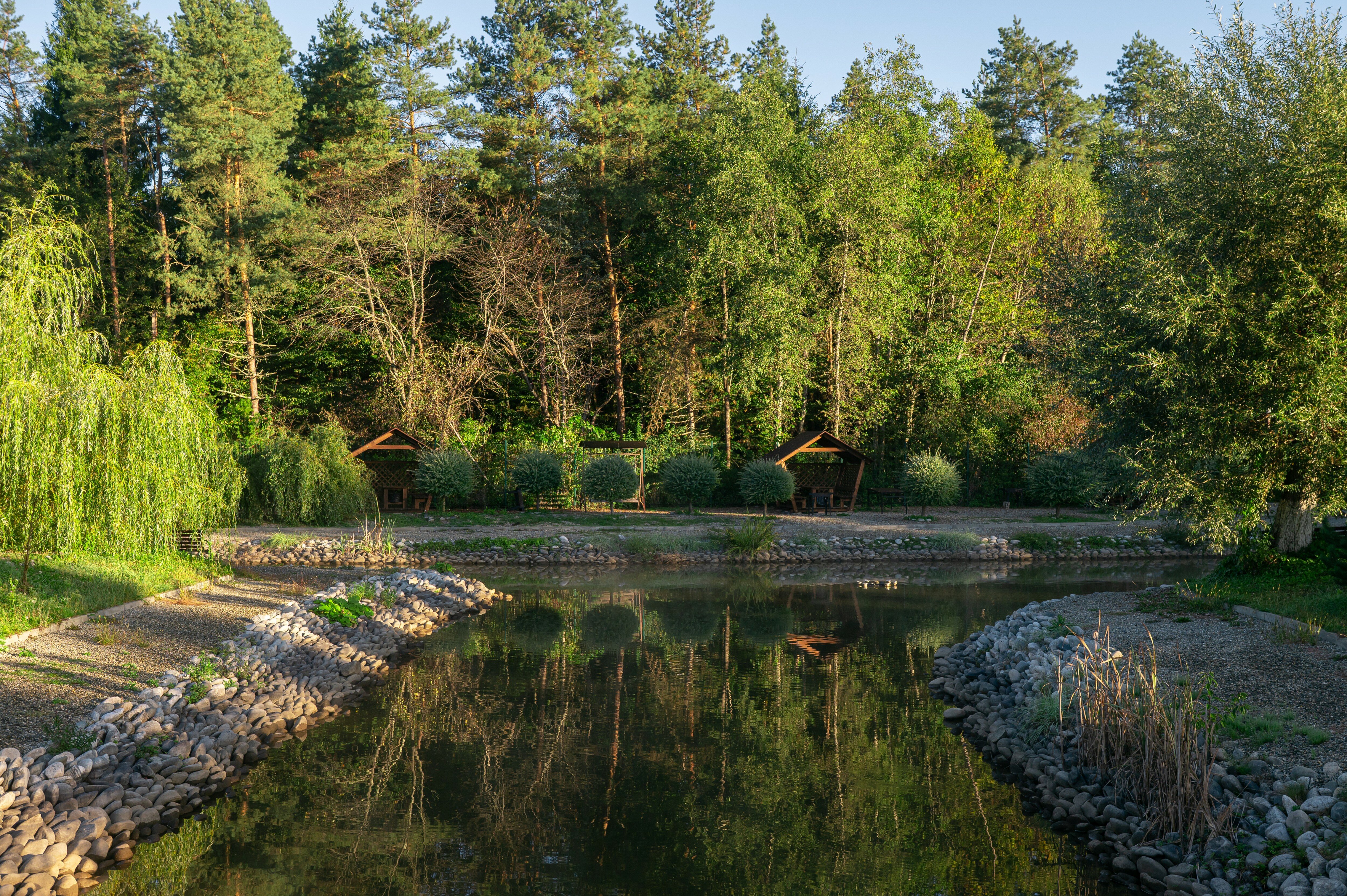 Фото Павлова поляна