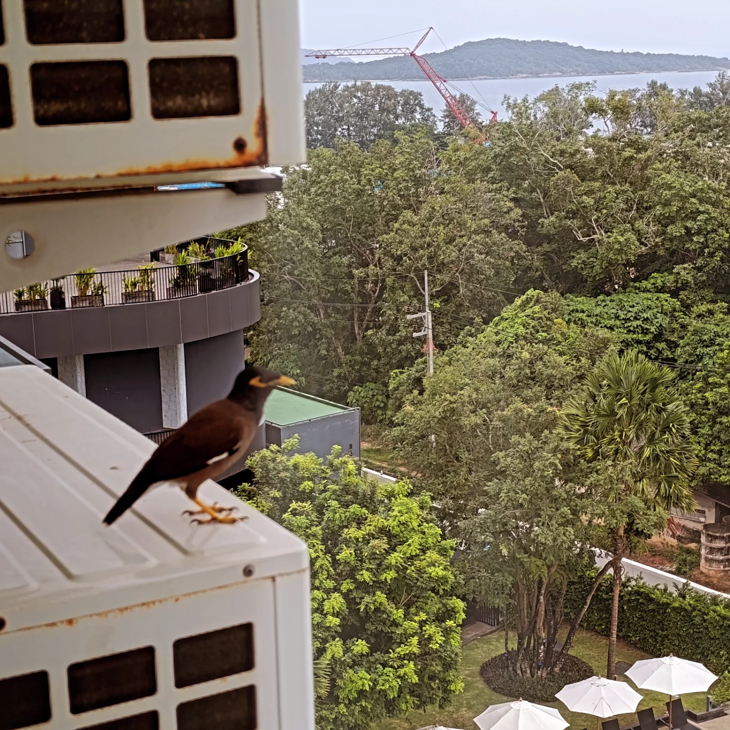 Фото Wyndham La Vita Phuket