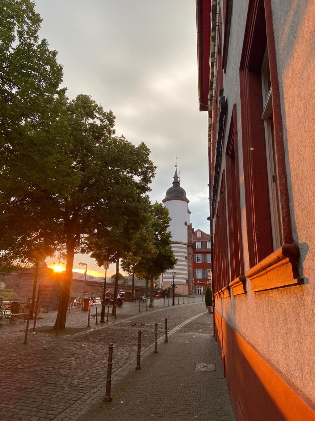 Фото Vier Jahreszeiten