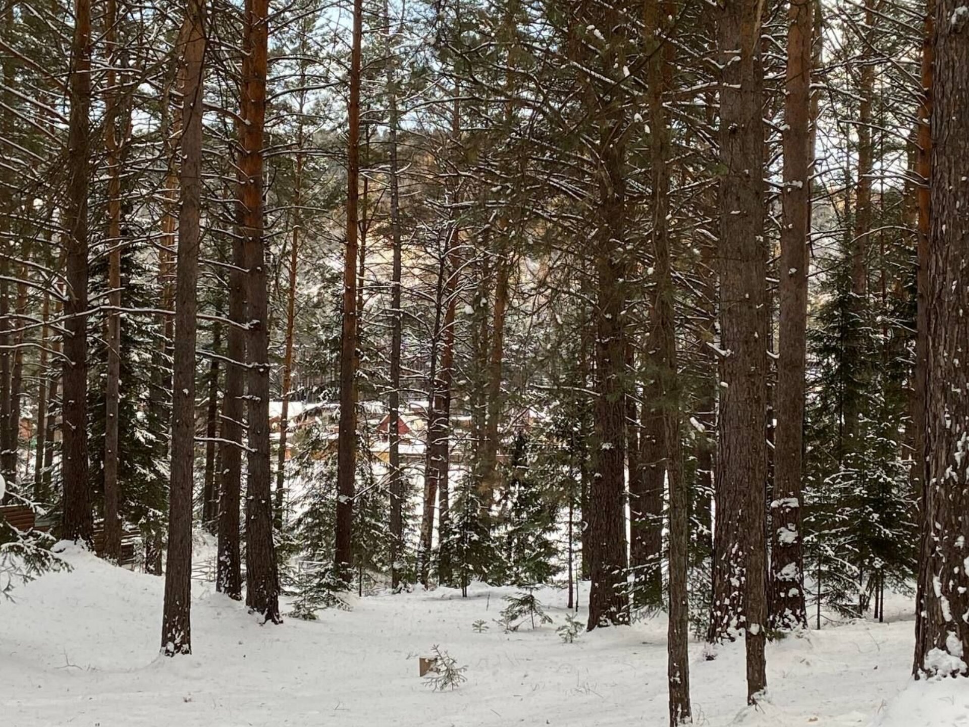 Фото Дух Тайги