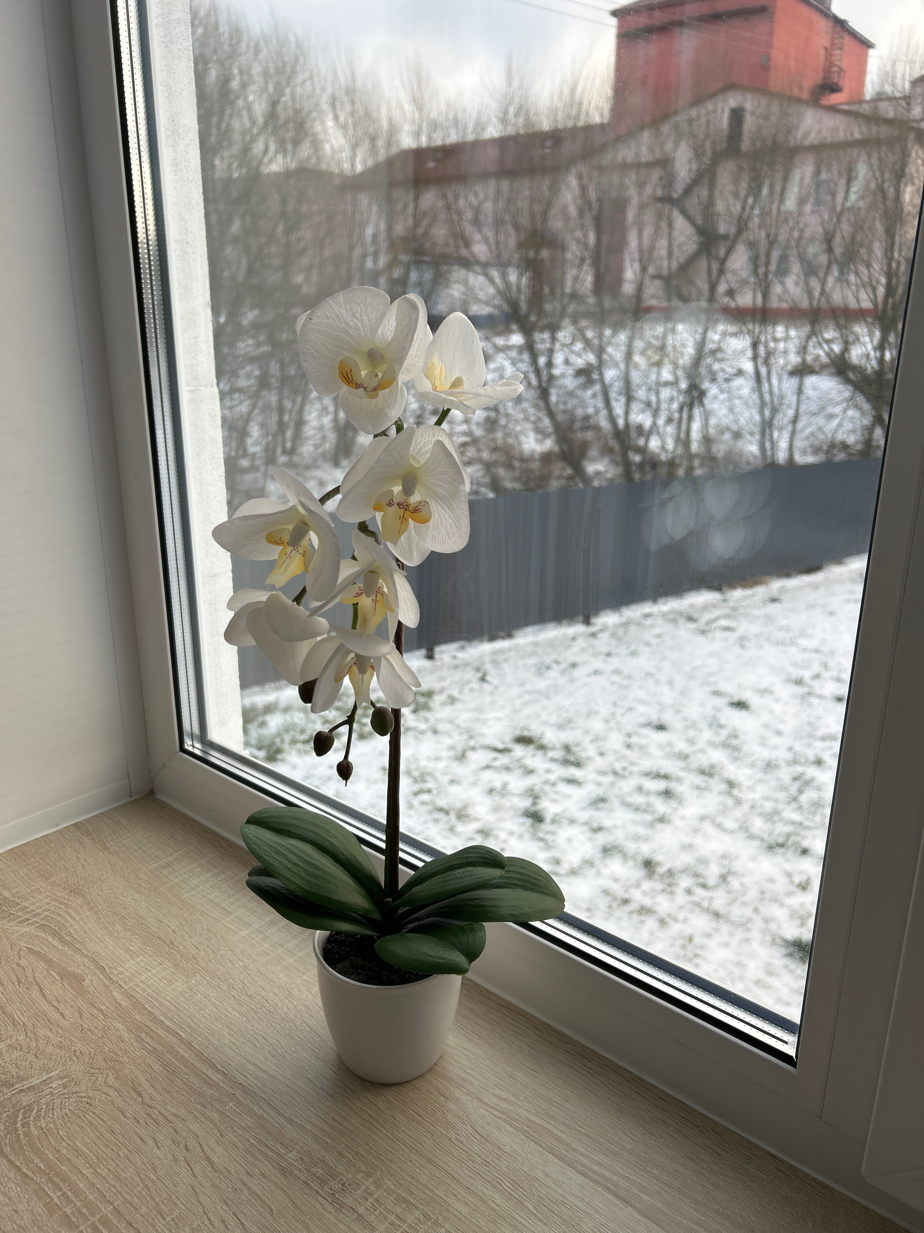 Фото Мышкин уют