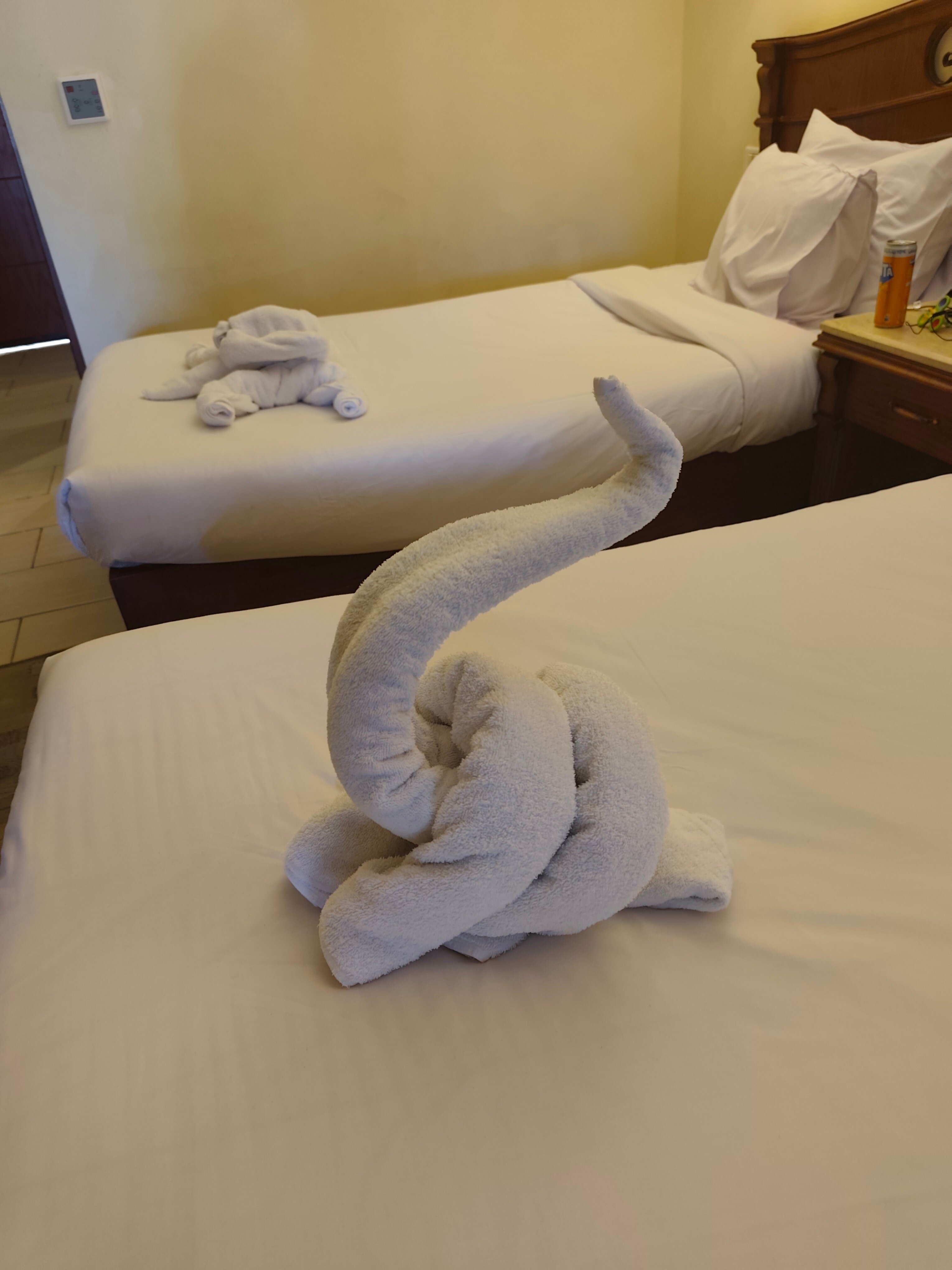 Фото Regency Plaza Aqua Park & SPA Resort