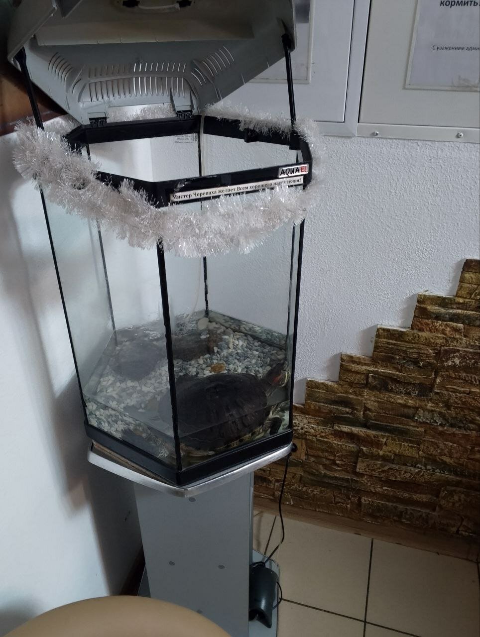 Фото Атмосфера