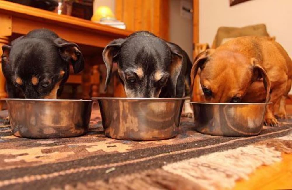 Фото The Old Trading Post - Guest House