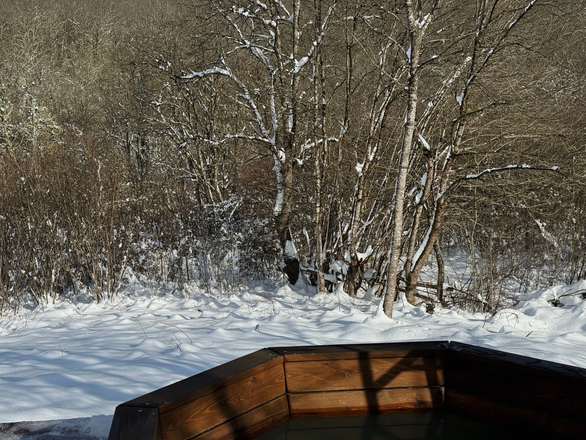 Фото Ширванка Lux