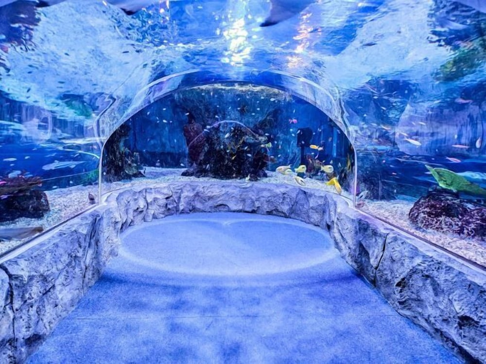 Фото Haeundae Thevan Hotel