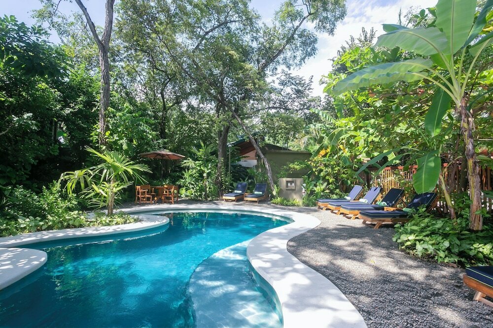 Фото Olas Verdes Hotel