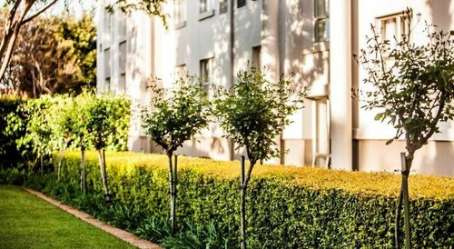 Внешний вид отеля Garden Court Morningside Sandton в Йоханнесбурге, фото 5
